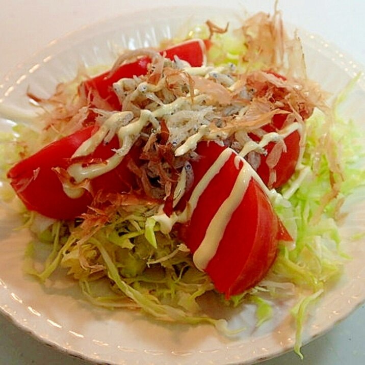 キャベツとトマトと釜揚げしらすの和風サラダ レシピ 作り方 By ぷ みぃまま 楽天レシピ キャベツとトマトと釜揚げしらすの和風サラダ レシピ 作り方 By ぷ みぃまま 楽天レシピ